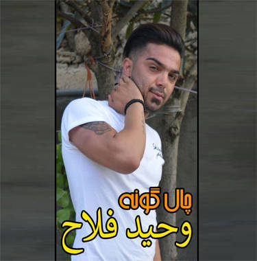 وحید فلاح چال گونه